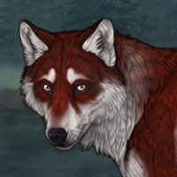 Ketchupflare Headshot