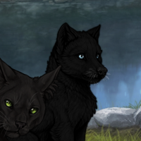 G12 T2 Melanistic Headshot