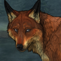 Fox Tail Headshot