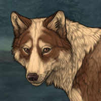 Wolf Headshot
