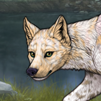 Piebald: Zerdava | Male Headshot