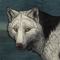 Wolf Headshot