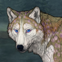 Birchy Headshot