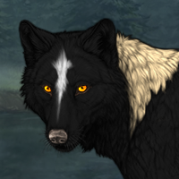 Wolf Headshot