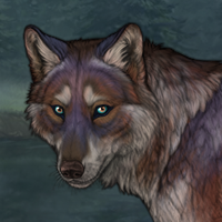 Novus Wolf Headshot