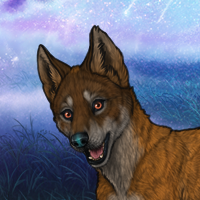 Dusky`pup Headshot