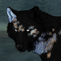 Nightpelt Headshot