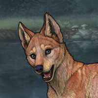 Thornpup Headshot