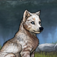 SPD AGI husky argent Headshot