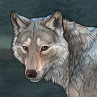 Breeze Glow Headshot