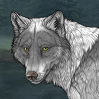 Wolf Headshot