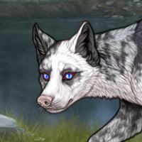 Piebald Headshot