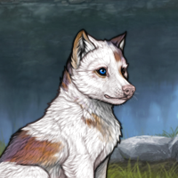 Piebald: Uneven Headshot