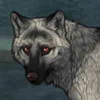 Wolf Headshot