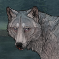 Wolf Headshot
