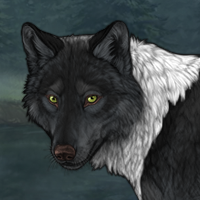 Wolf Headshot