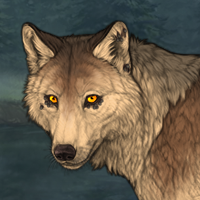 Wolf Headshot