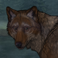 Spiderpelt Headshot