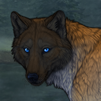 Boreas Headshot