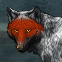 Wolf Headshot