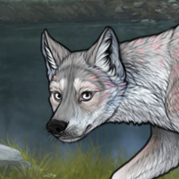 Male Silver Pup Headshot