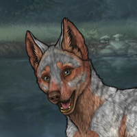 sell male gray red pup 1 Headshot