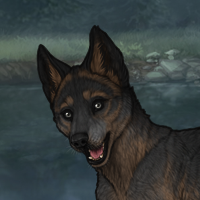 New Puppy Headshot