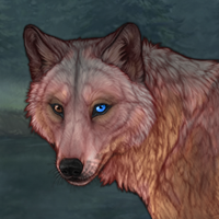 rnc breeder Headshot