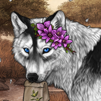Wolf Headshot