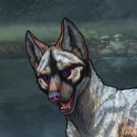 Sky bc Headshot