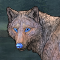 Feldspar Headshot