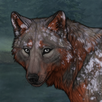 Dark Forest Cake Headshot