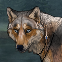 Wolf Headshot