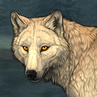 Wolf Headshot