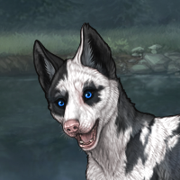 Piebald sell Headshot