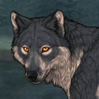 Wolf Headshot