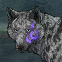 Willow Wisp Headshot