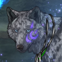 Willow Wisp Headshot