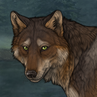 Wolf Headshot