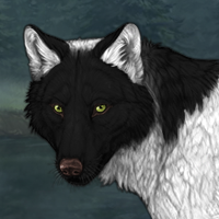 Wolf Headshot