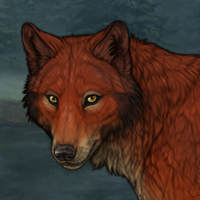Red Forest Headshot