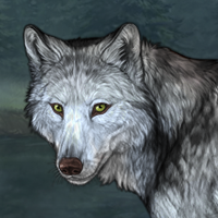 Wolf Headshot