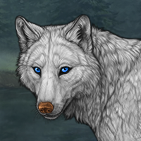 Loup Headshot