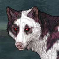 Wolf Headshot