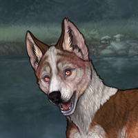 Enclave Pup Headshot