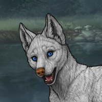 Greykit Headshot