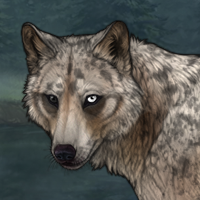 Ferris Headshot