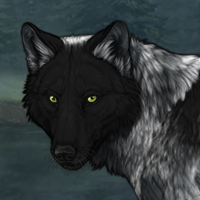 Wolf Headshot