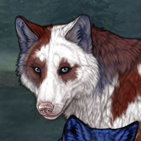 Skoll Headshot