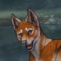 RNC Dingo Headshot